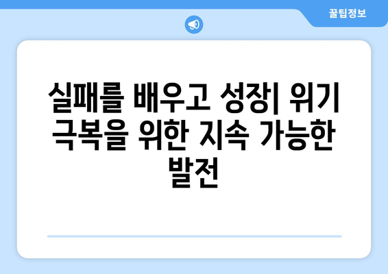 경제 위기 극복의 성공 사례