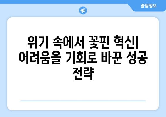 경제 위기 극복의 성공 사례