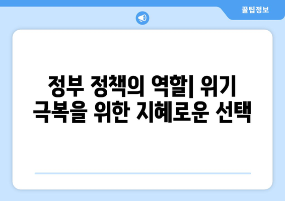 경제 위기 극복의 성공 사례